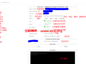搬瓦工 BandwagonHost KiwiVM 面板后台功能整理和使用教程