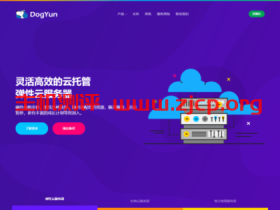 DogYun春节优惠:动态云7折,经典云8折,独立服务器月省100元,充100送10元