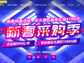 宝塔新春采购季:宝塔企业版899元/年,宝塔专业版永久授权1988元起