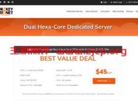 turnkeyinternet:24 核裸机专用服务器,固态硬盘,10TB流量,1Gbps带宽,45 美元/月起,可选纽约和科罗拉州机房,30天退款保证