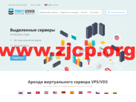 ProfitServer:荷兰VPS,阿姆斯特丹机房五折,1核/1G内存/10G SSD硬盘/不限流量/100M带宽,月付2.88美元起