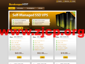 搬瓦工:迪拜机房 VPS 套餐正式上线,2核/1G内存/20G SSD/500G流量/1Gbps带宽,月付19.99美元起
