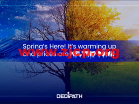 DediPath:美国便宜独立服务器,E31240v2/16G内存/2TB HDD或/250G SSD硬盘/不限流量/1Gbps带宽,$39/月起,VPS服务器5折优惠