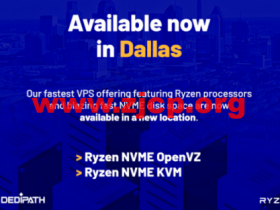 #上新#DediPath:美国便宜vps,达拉斯机房,AMD Ryzen VPS,1核/512M内存/10G NVME硬盘/1TB流量/1Gbps带宽,$44.00/年