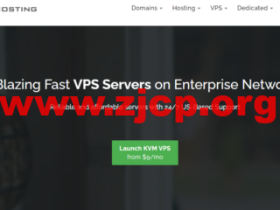 Radwebhosting:美国便宜vps,全场5折优惠,1核/512M内存/15GB SSD硬盘/1TB流量/100Mbps带宽,月付$7起,独立服务器月付$69.00起