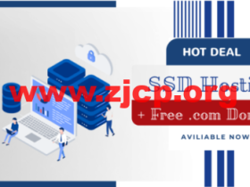 HostSailor:荷兰SSD硬盘托管主机,1Gbps 带宽,$23.99/年,送免费域名