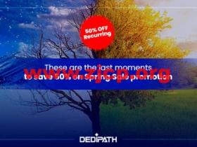 DediPath:春季促销活动,全场VPS/HybridServers主机5折,月付1.75美元起