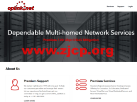 Oplink:美国vps,休斯顿机房,2核/4GB内存/1TB SSD硬盘/2TB流量/10Gbps带宽,$20/月起