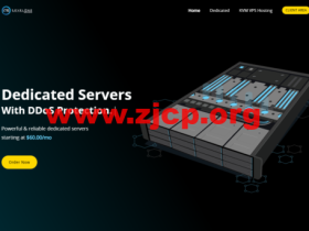 Leveloneservers：美国大硬盘vps，达拉斯机房，1核/1G内存/512G硬盘/1T流量/1Gbps带宽，$25.5/年