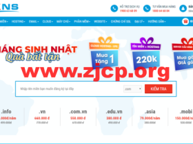 BKNS:越南vps,1核/1G内存/20G SSD硬盘/100Mbps不限流量,$4.95/月起,买一年送一年