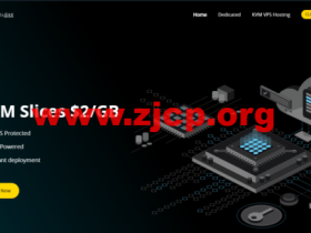 LeveloneServers:美国达拉斯大硬盘存储VPS,1核/1G内存/512G硬盘/1Gbps@1TB流量,年付25美元起