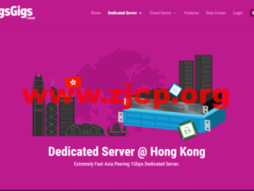 GigsGigsCloud:中国香港、日本 CN2 GIA VPS、服务器套餐续费五折优惠