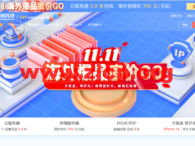 #11.11#恒创科技:海外爆品底价,海外云服务器低至2.8折,香港云服务器低至38元/月,美国服务器首购低至700元/月,弹性香港高防IP,30G防御仅需1610元/月