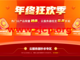 易探云：2022年双11年终狂欢季，2核4G6M仅298元/年，e3-16G裸金属服务器仅4590元/年