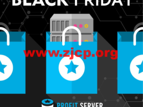 #黑五#ProfitServer:1核/1GB内存/15GB SSD/不限流量/100Mbps带宽,$2.88/月起,可选洛杉矶/香港/新加坡/荷兰/德国/西班牙等机房
