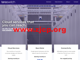 TeraSwitch:美国华盛顿机房vps,1核@AMD EPYC/1GB内存/20GB/10TB流量/1Gbps带宽,$4/月起,按小时付费,随时更换IP