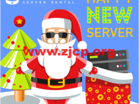 #圣诞促销#ProfitServer:亚特兰大/新加坡VPS五折,1核/1GB内存/15GB SSD/不限流量/100Mbps带宽,$2.88/月起