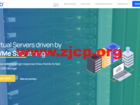 skb-enterprise:荷兰AMD Epyc高性能vps,1核/2G内存/50G SSD NVMe/5TB流量/100Mbps带宽,€ 4,99/月