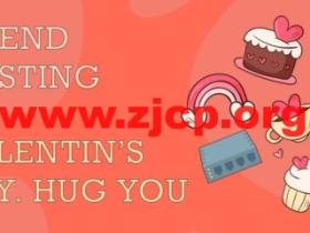 #情人节#Friendhosting:国外便宜VPS/大硬盘VPS,可选11个数据中心,100Mbps带宽不限流量,月付低至$2.1