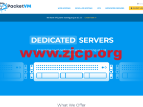 PacketVM:荷兰大硬盘VPS,4核/2G/100GB/3TB/1Gbps带宽,$2.5/月起,达拉斯VPS,$2.5/月起