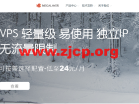 Megalayer:美国VPS半价24元/月起,香港VPS半价29.5元/月起,独立服务器399元/月起