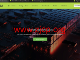 Rabisu:土耳其vds,2核/4G内存/40G NVMe/1Gbps无限流量,$2.9/月起,另可选英国/美国/保加利亚机房