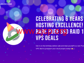 #六周年促销#CloudCone:美国便宜1Gbs带宽VPS,年付$21.21起,RAID-10 SSD磁盘