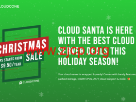 CloudCone:洛杉矶机房,1核/512MB/30GB/3TB@1Gbps带宽,$9.5/年