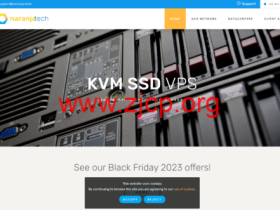 naranja:荷兰VPS,AMD EPYC7763@1核/2GB/30G NVMe/5TB/1Gbps带宽,€16.2/年