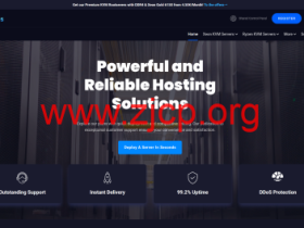 LuxVPS:德国vps,1核/4GB/30GB/5TB@1Gbps带宽,€4.5/月