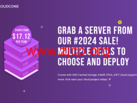 CloudCone:美国洛杉矶便宜VPS,2核/1G/55GB SSD/2T月流量/1Gbps带宽,$17.12/年