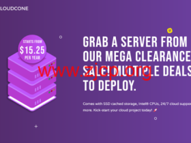 #CLEARANCE SALE 2024#CloudCone:洛杉矶机房,1核/1GB/55GB/2TB@1Gbps带宽,$15.2/年