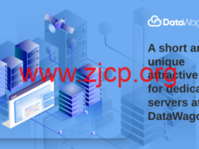 DataWagon:纽约机房独立服务器,E3-1240 V3/32GB内存/240GB SSD/50TB/1Gbps带宽,$39/月