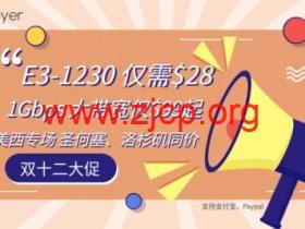 lightlayer:美国独立服务器5折,$28/月起,E5-2670V3/1Gbps不限流量服务器,$99/月起