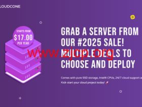 CloudCone:洛杉矶MC机房,2核/1GB/14G SSD/3TB@1Gbps带宽,$17/年