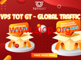 TOTHOST:越南VPS八五折,250Mbps不限流量,$15.6/月起,双ISP属性IP