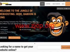 BaboonHosting:荷兰vps,1核/1GB/30GB SSD/4TB@5Gbps,€10.99/年