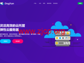 #预售#DogYun:香港服务器,Platinum 8259CL/64GB/960GB SSD,450元/月,可选精品&优化&国际线路