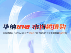 华纳云618钜惠:香港云服务器1H1G10M仅226元/年,支持CN2 GIA/国际专线