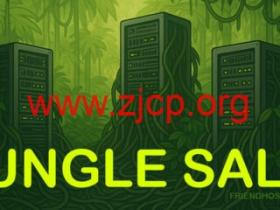 Friendhosting:七月6折,美国/日本/德国/荷兰等15个机房VPS,低至€1.8/月起