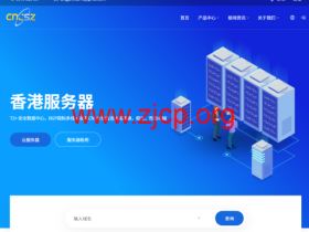 CNCSZ:美国 香港站群服务器,32g/1tssd/100Mcn2线路/8c,仅需1299元/月首月,续费同价