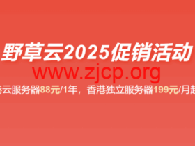 #2025年终促销#野草云:香港VPS主机88元/年起,香港独立服务器199元/月起