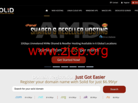 SolidVPS:美国/立陶宛VPS,4核/2GB/20GB SSD/8TB@10Gbps带宽,$15/年起,提供IPv4+IPv6