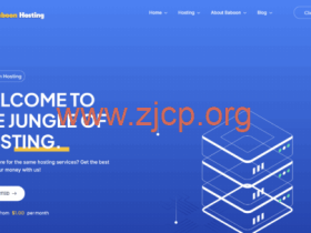 BaboonHosting:荷兰VPS,€12.99/年起,荷兰IPv6 vps年付5欧元起