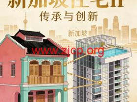 新加坡住宅 IP VPS 用于 TikTok 直播:特色指南与商家推荐