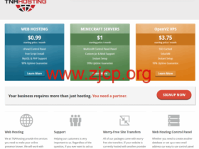 TNAHosting:芝加哥机房低价独立服务器补货,E3-1230v2/16GB/1TB SSD/100TB@1Gbps带宽,$19/月