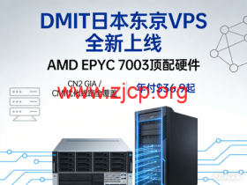 DMIT 日本东京 VPS 全新上线:AMD EPYC 7003 顶配硬件,CN2 GIA / CMI 优化线路全覆盖,年付 $36.9 起
