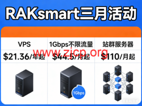 RAKsmart 三月活动:VPS $21.36/年起,1Gbps不限流量 $44.5 / 月起,站群服务器 $110 / 月起
