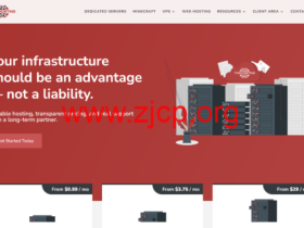 高性价比海外 VPS 推荐:TNAHosting $24 / 年 锐龙双核 / NVMe 硬盘 / 大流量 芝加哥