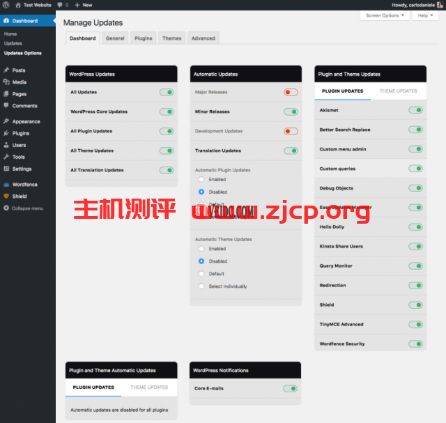 Easy Updates Manager插件